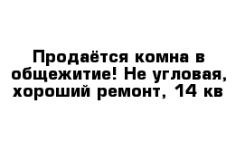 Продаётся комна в общежитие! Не угловая, хороший ремонт, 14 кв